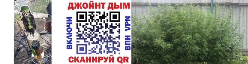 Виды наркоты Пестово Марихуана  Меф мяу мяу  ГАШ 