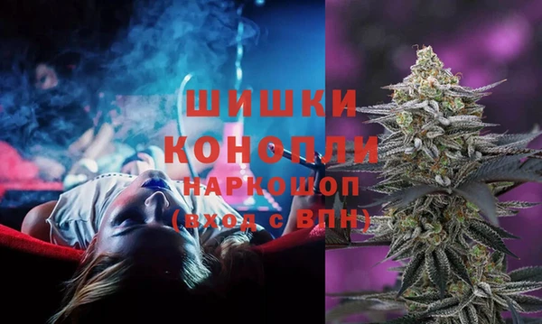 ALPHA PVP Ельня