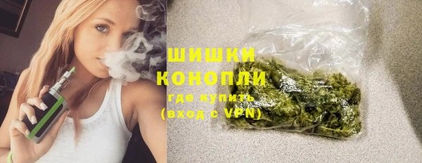 ALPHA PVP Ельня