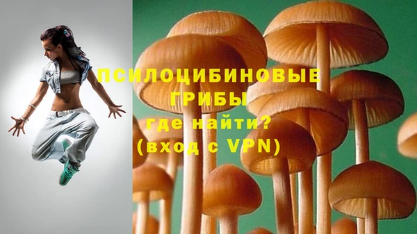 МДМА Елизово
