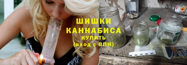 ALPHA PVP Ельня