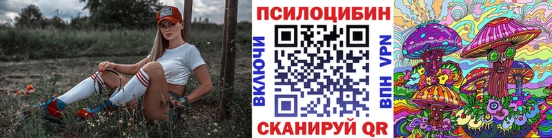 магазин продажи наркотиков  Пестово  Галлюциногенные грибы прущие грибы 